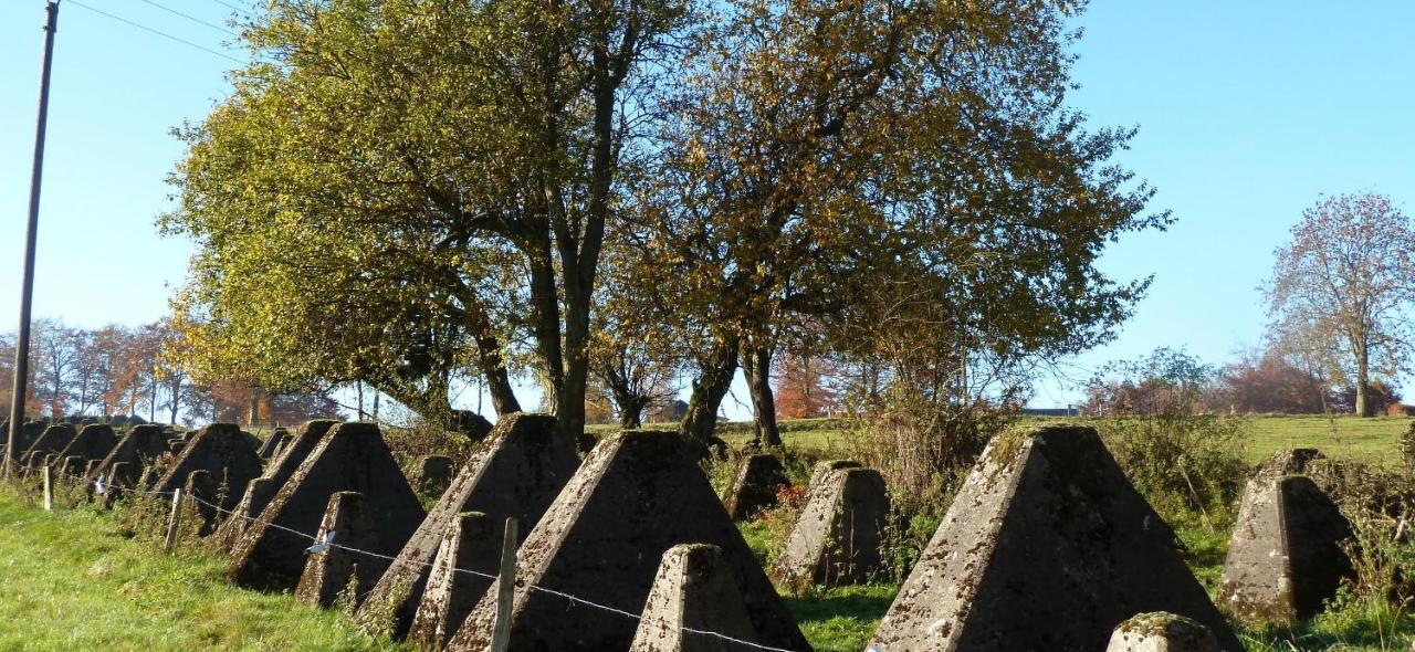 Fewo Eifel Eichen نيدغن المظهر الخارجي الصورة